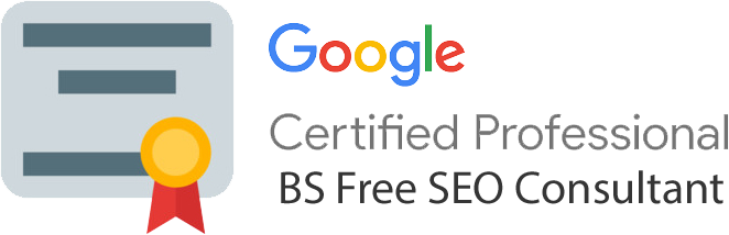 google certified no bs consultant